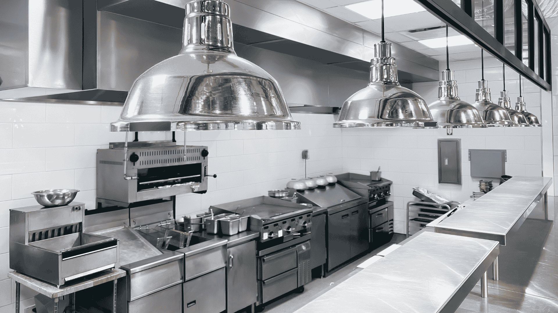 Commercial Pest Control in Apex, NC