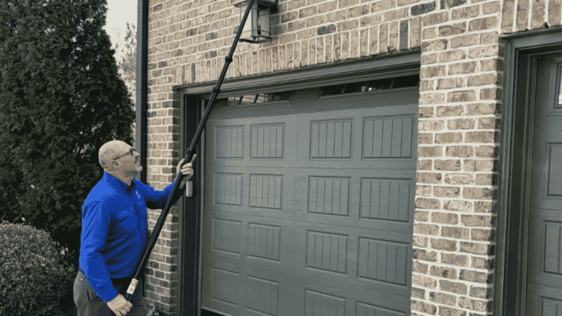 Ant Control in Cary, NC