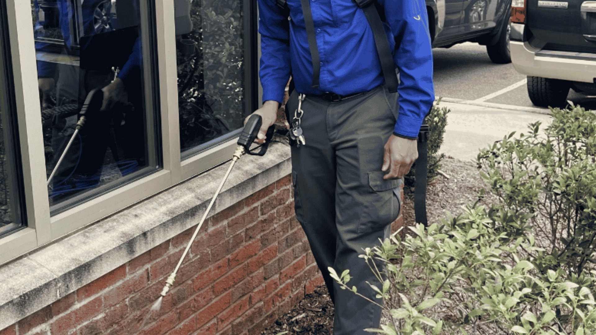 Ant Control in Holly Springs, NC
