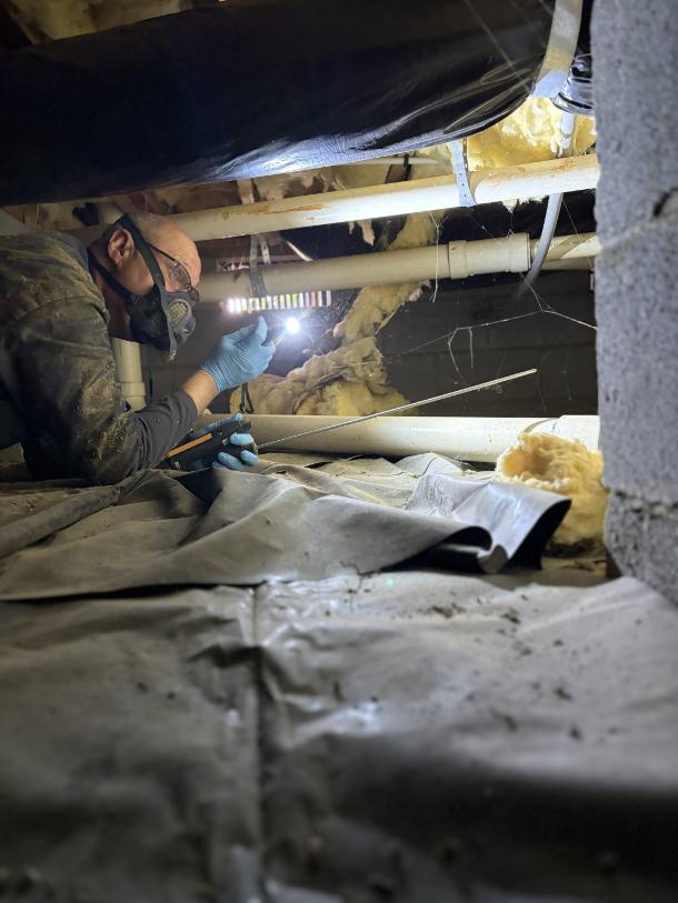 WDIR inspection in progress