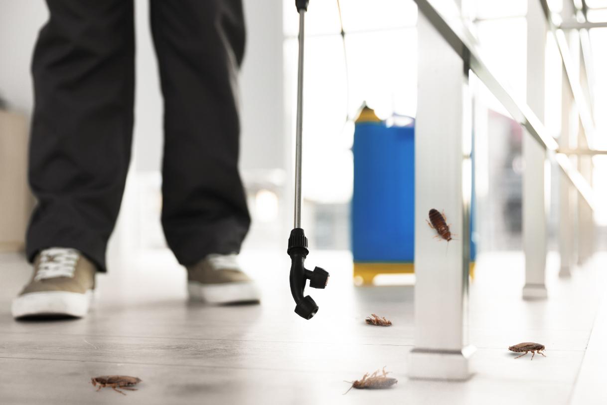 commercial-pest-control-services image Ready Pest Solutions technician treating a commercial property