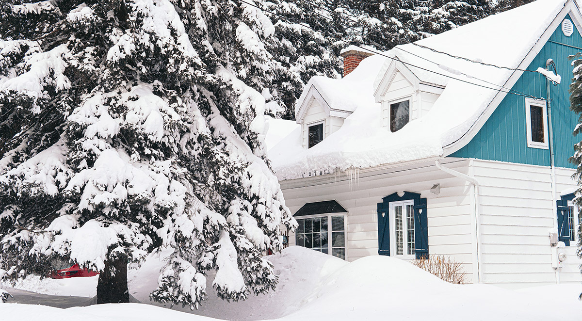 Why Rodent Problems Peak in Winter