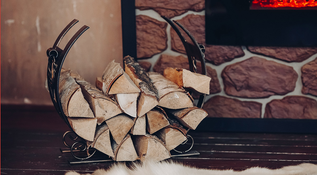 What Bugs Come in on Firewood?