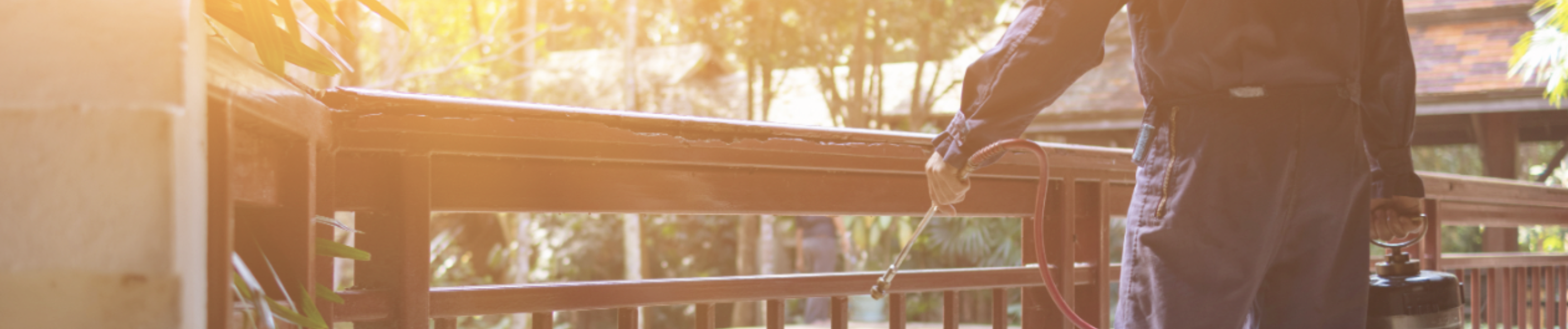 pestcontrolheader image