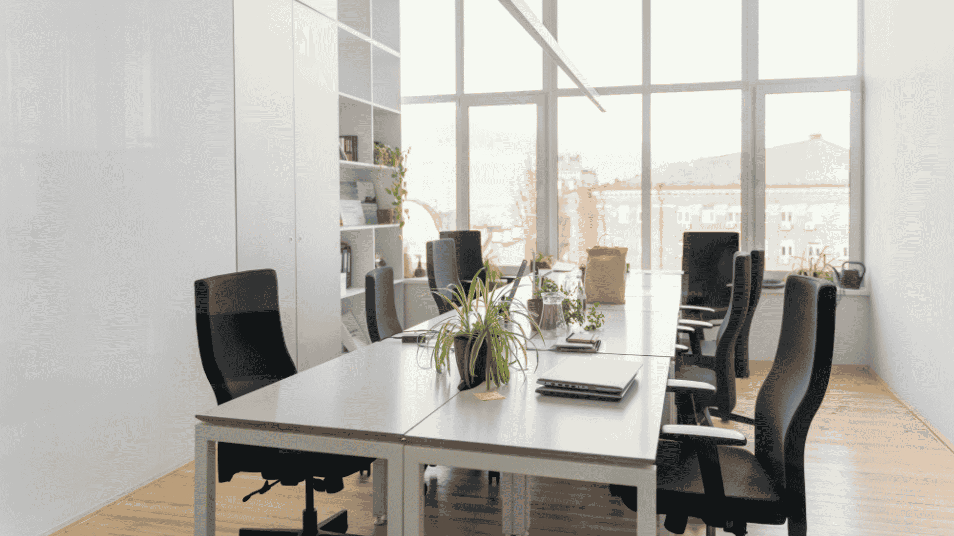 Commercial Pest Control in Holly Springs, NC