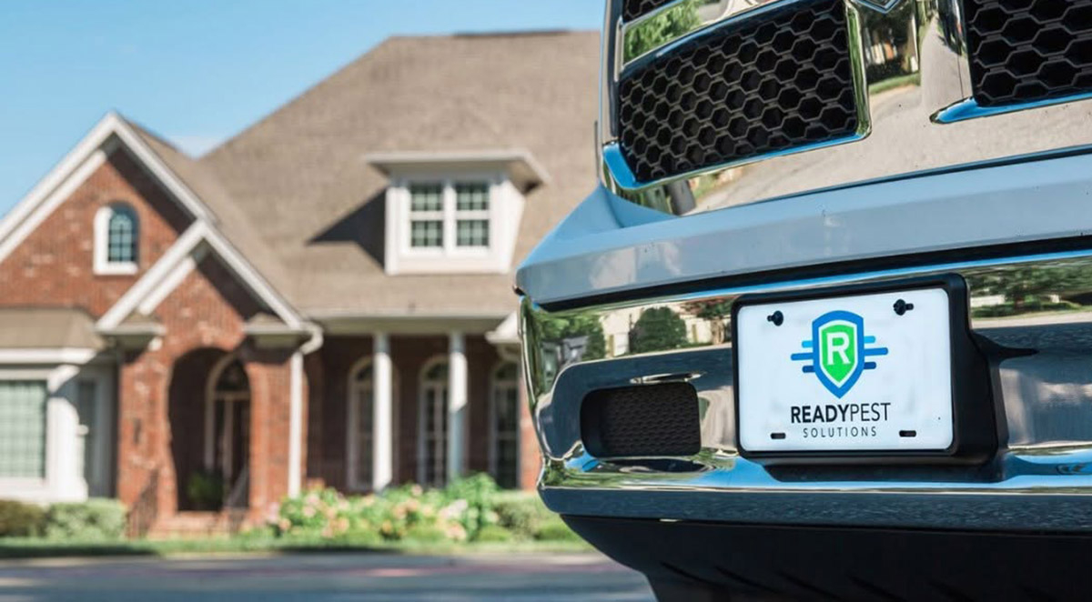 Year-Round Pest Control vs. One-Time Visits